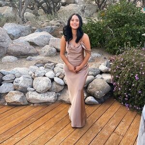 Fame and Partners Francois Dress